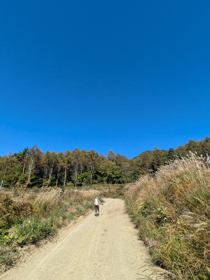 茂来山