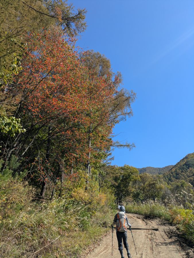 茂来山