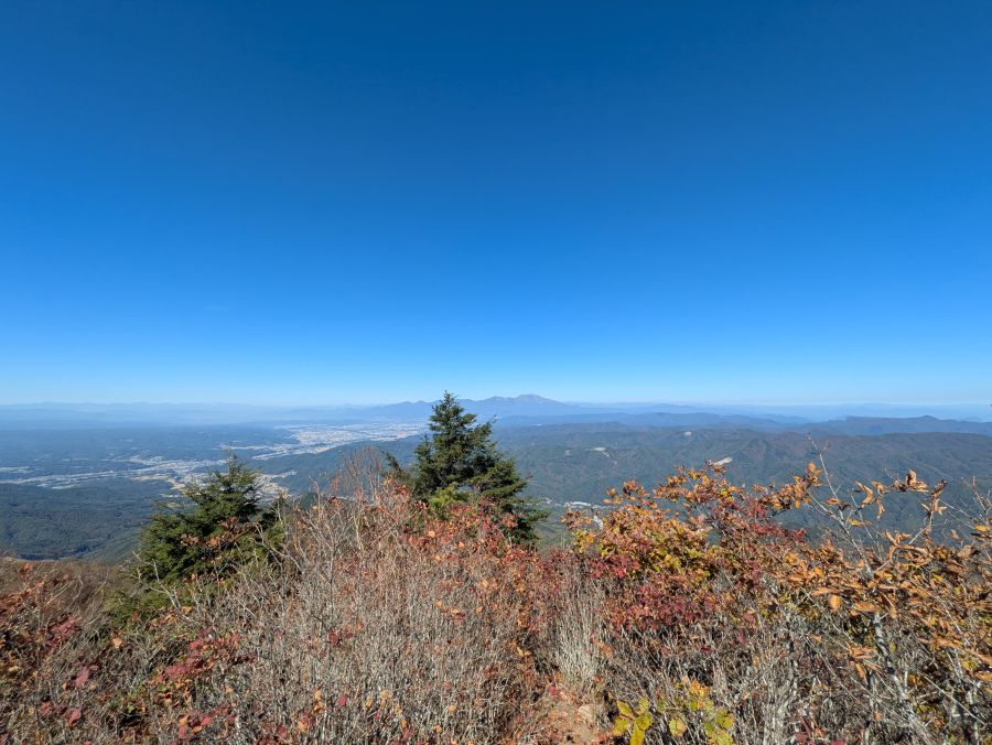 茂来山