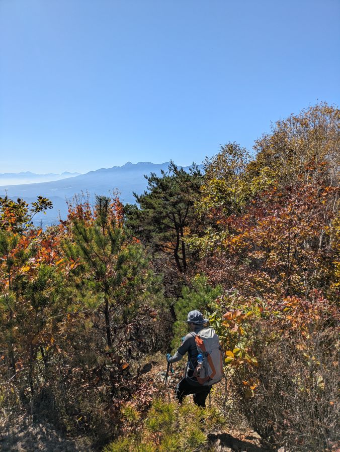 茂来山