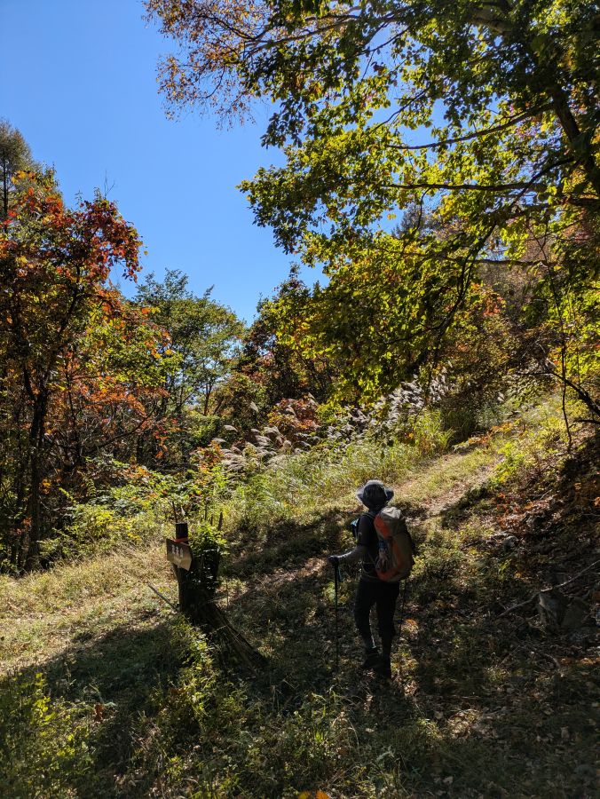 茂来山