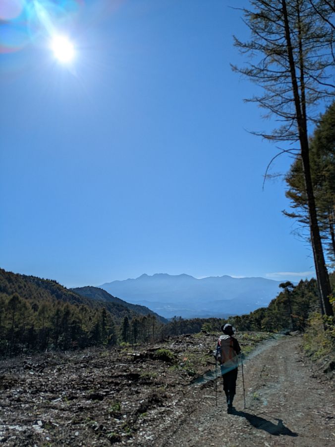 茂来山